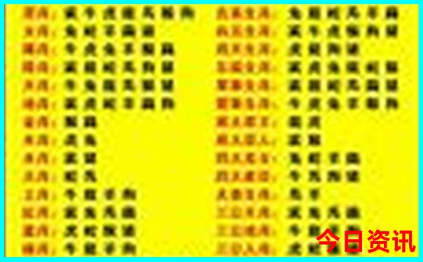 中考完带孩子去哪旅游好